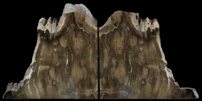 Petrified Wood Bookends - Oregon #52513